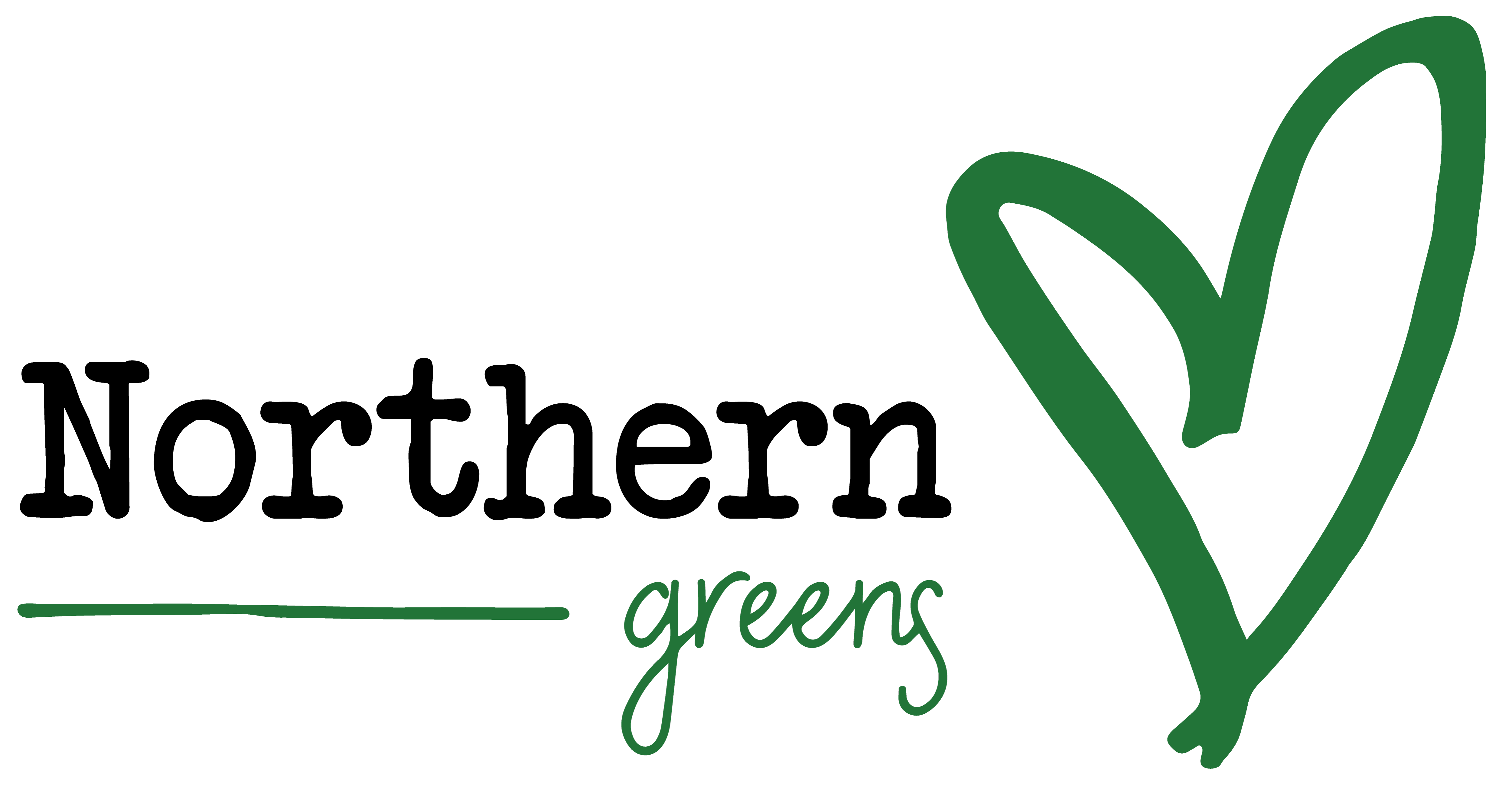 NG logo vandret green 5000px 5000x